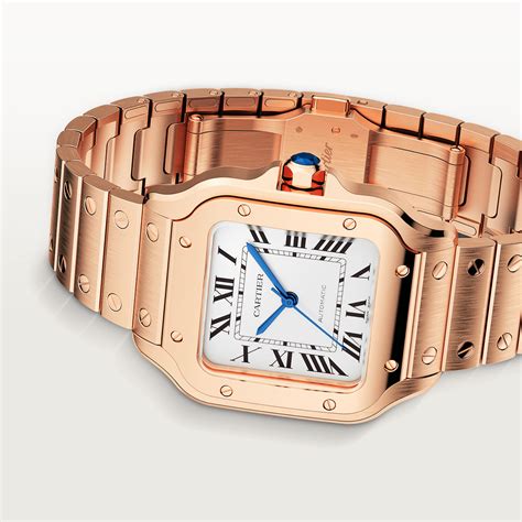 cartier santos medio